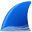 Wireshark 4.0.8